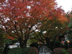 富士屋ホテルの紅葉はまだまだ見頃（11月17日）