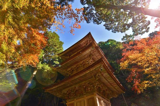 2016紅葉（5） “美濃の正倉院”両界山横蔵寺