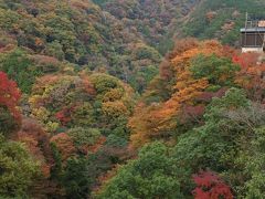 箱根の紅葉はまだまだ見頃（11月17日）