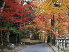 佛通寺の紅葉 2016