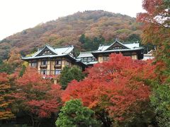 花御殿の紅葉はまだまだ見頃（11月18日）