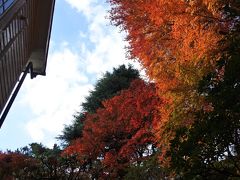 富士屋ホテルの紅葉はまだまだ見頃（11月18日）