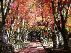 鶏山寺と永源寺の見事な紅葉めぐり