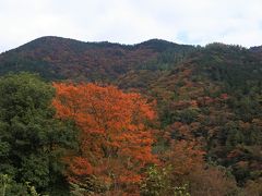 箱根の紅葉はまだまだ見頃（11月18日）