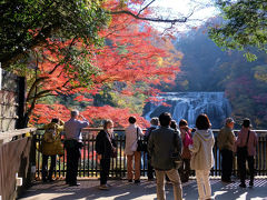 ツアーで行く　紅葉 袋田の滝　花貫渓谷　上　袋田の滝編