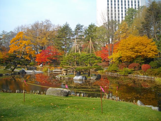 そろそろ寒くなってきた札幌をぶらぶら。ホテル近くの中島公園を散歩しました。紅葉が一気に進んだようです。