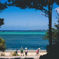 フクギ並木の隠れ家に泊まる沖縄本島　その１