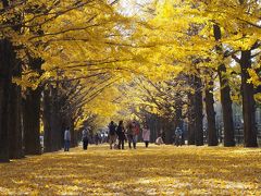 秋色に染まった昭和記念公園！