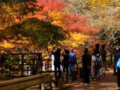 ツアーで行く　紅葉 袋田の滝　花貫渓谷　下　花貫渓谷編