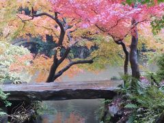 都内の紅葉スポット巡り　旧古河庭園・六義園・横山大観記念館・旧岩崎庭園