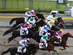 秋の優雅な東京競馬場♪　VIP観覧席から眺めて♪