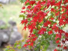 琵琶湖畔で紅葉と芸術と食欲の秋満喫 ①