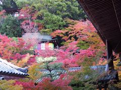 2016年　京都の紅葉～永観堂と2つ星ランチ～