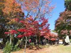 犬山の紅葉