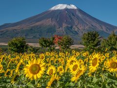 2016年10月山中湖ロッジ滞在記　～山中湖周辺の富士山、夏と秋が混在する不思議な光景～