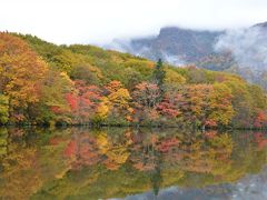 錦秋の秋&おまけの茸採り