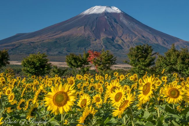 2016年10月山中湖ロッジ滞在記　～山中湖周辺の富士山、夏と秋が混在する不思議な光景～