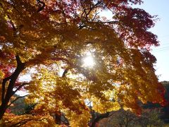 紅葉 in 福島　２　紅葉燃える蛇の鼻と岳温泉