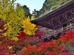 情緒纏綿　播磨紀行③書写山 圓教寺（前編）