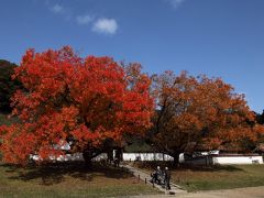 旧閑谷学校の紅葉　2016