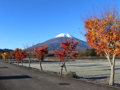 紅葉を見に富士山へ