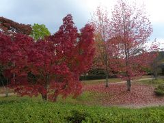 大阪南部をブラブラ・・・　紅葉を探しに♪