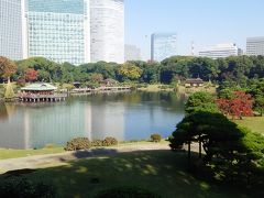 浜離宮恩賜庭園へ行ってきました。