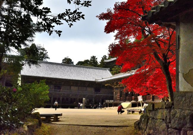 豊かな自然の森に包まれた書写山に於いて、性空上人が過ごした時代と変ったものは「参拝に訪れる人の数と山から見下ろす町の景色だけ」と言われるほどです。これを裏付けるエピソードがあります。書写山 圓教寺が中世の日本の趣を今に残していることから、監督の一目惚れで急遽、三之堂がハリウッド映画『ラスト サムライ』のロケ地に選定されたのです。このハリウッド・デビューを端緒に、数々のＴＶドラマや映画のロケ地に選ばれるようになりました。<br />また、奥の院は深山幽谷の佇まいを湛え、落ち着いた雰囲気を好まれる方々に人気のスポットです。三之堂の開放的で明るい空間とは対照的に、しっとりとした空気の中に落ち着いた堂宇が佇み、時間がゆっくりと流れています。<br />その他、剛勇無双、怪力、破天荒の武蔵坊弁慶の伝説にも触れられ、その中でも主君 源義経と出会う以前の若き日の弁慶の姿を語り継ぐ伝説が残されているのは歴史好きには興味深いところです。<br />また、奥の院 開山堂の脇には歌塚が佇み、性空上人の教えに触れようと、藤原道長の娘 中宮彰子にお供して書写山を訪れた平安期の代表的女流歌人 和泉式部が詠んだ歌を顕彰しています。ドラマチックな多少の行き違いの末、上人の返歌も残され、上人の人柄を偲ばせる逸話として語り継がれています。<br />こうした、豊かな自然や中世や深山幽谷の佇まい、弁慶が源義経と出会うきっかけになった伝説、黒田官兵衛の足跡、女流文学が開花した平安文学の世界に浸れるなど、バラエティーに富んだ嗜好に応じられる書写山 圓教寺の引き出しの多さも魅力のひとつなのかもしれません。<br />境内マップです。<br />http://www.shosha.or.jp/map.cgi