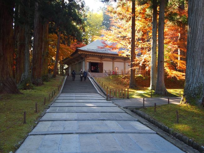 今回のメインは、中尊寺観光で時期的には遅いがシーズンオフが狙い目で行きました、参加者も２９名でしたので大型バスも楽々でした。<br />少々早い新幹線の出発「やまびこ１２３号」（大宮７：３８発）で仙台到着９：１９着、後は観光バスで移動・観光。<br />１日目は：平泉の中尊寺・毛越寺、秋田の角館を観光し、宿泊の「雫石プリンスホテル」。<br />２日目は：ホテル（8：40発）奥入瀬渓流散策・十和田湖散策・発荷峠を見てから少々遅い時間ですが、新幹線乗車の一ノ関（１９：２１発）に向かい、大宮（２１：３４）に到着しました、もう少し到着が早いと良かったのですが。<br />天気と気温が心配でしたがほほ晴れましたのでゆっくりと、時期的に観光客が少なく静かな観光が出来ました。<br />旅行社の添乗員の方も、かなり経験が豊富そうで今回のツアーは勿論、いろいろな旅行についての注意点などを添乗員の立場で紹介してくれました、この添乗員の方が添乗する旅行にまた行きたいと思いました。<br />