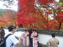京都　左京区　紅葉寺社巡り　2016