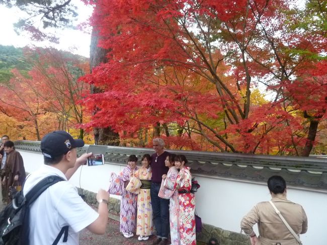 京都も紅葉が本番となってきました。<br /><br />岡崎神社から銀閣寺までを周遊。<br /><br />流石に人手も多く、紅葉、景観などを満喫。<br /><br />12月上旬ぐらいが、紅葉のピークになりそうです。<br /><br />岡崎神社　http://www.okazakijinja.jp/　※無料拝観<br /><br />金戒光明寺　http://www.kurodani.jp/　※障碍者手帳で同伴者まで、半額利用。<br /><br />南禅寺　http://nanzenji.com/　※障碍者手帳で同伴者まで、半額利用。<br /><br />永観堂　http://www.eikando.or.jp/　※障碍者手帳で同伴者まで、半額利用。<br /><br />哲学の道　http://tetsugakunomichi.jp/　※料金は在りません。<br /><br />銀閣寺　http://www.shokoku-ji.jp/g_about.html　※障碍者手帳の提示で、同伴者まで￥100円で観覧。<br /><br />京都の情報ページ　https://sites.google.com/site/wonderfulcare1/jouhou-peji