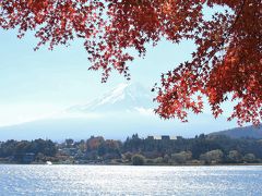 河口湖 湖北ビューライン　「もみじトンネル」