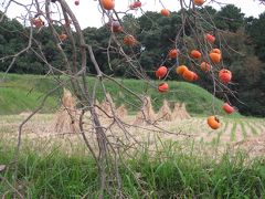 てくてく　山の辺の道　その１　天理～萱生町まで　《1日目　23,631歩》