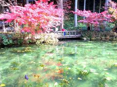 出張ついでの紅葉狩り～アメージングなモネの池