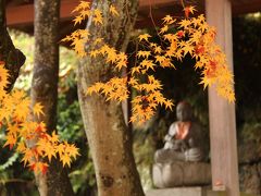 2016年11月　西宮市　「孫と神呪寺お参りと鷲林寺の紅葉」