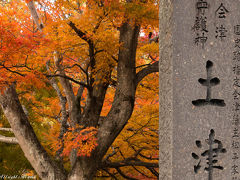 見ごろから晩秋までの土津神社の紅葉