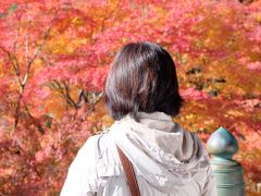 播州清水寺の紅葉＆加西市の網引駅