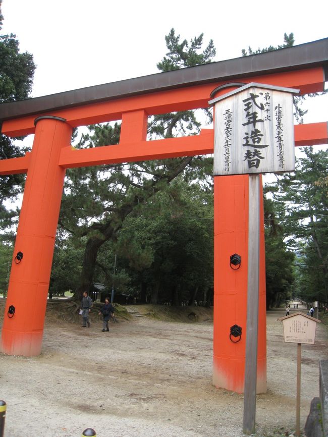 日本最古のウォーキングルートと言われる山の辺の道、かねてから歩いてみたいと思っていました。足腰が丈夫なうちに実現しよう、と決心して、人気のルート「天理から桜井まで」の16キロを歩くことにしました。さすがに1日で歩ききる自信はなかったので、2日間に分けて歩きました。しかも、長柄と柳本の間は省略、最終目的地は桜井にはしないで、ちょっと手前の「金屋の石仏」としましたので、厳密に言うと16キロではありません、悪しからず。<br /><br />さらに、京都へ移動し、比叡山にも行ってきました。タモリ倶楽部で、坂本から日本最長のケーブルカーで比叡山へ行き、ロープウェーと高低差日本一のケーブルカーで八瀬へ下りる、という番組がありました。私たちもそれに便乗することにしましたが、坂本の門前町にも興味があったので、タモリルートとは逆に、八瀬から坂本へというルートをとることにしました。<br /><br />行程は次の通りです。<br /><br />1日目：山の辺の道その１<br /><br />羽田-《JAL》-伊丹-《奈良高速バス》-奈良-《JR桜井線》-天理<br /><br />天理駅～石上神宮～天理観光農園～夜都伎神社～竹之内環濠集落～萱生町環濠集落～長柄駅までてくてく。<br /><br />長柄-《JR桜井線》-奈良<br />奈良ホテル泊<br /><br />2日目：山の辺の道その２<br /><br />奈良-《JR桜井線》-柳本<br /><br />柳本駅～黒塚古墳～長岳寺～櫛山古墳～景行天皇陵～桧原神社～玄賓庵～狭井神社～大神神社～そうめん処森正～平等寺～金屋の石仏～三輪駅までてくてく。<br /><br />三輪-《JR桜井線》-奈良<br /><br />奈良に戻って正倉院展を見ました。<br />奈良ホテル泊<br /><br />3日目：奈良から京都へ<br /><br />春日大社～興福寺～近鉄奈良-《近鉄》-京都-《嵯峨野線》-嵯峨嵐山～天竜寺<br /><br />嵐山の保養所に宿泊。<br /><br />4日目：比叡山見学<br /><br />嵯峨嵐山-《嵯峨野線》-京都～七条-《京阪線》-出町柳-《叡山電車》-八瀬比叡口～ケーブル八瀬-《叡山ケーブル》-ケーブル比叡山～ロープウェー比叡山-《叡山ロープウェー》-比叡山山頂-《シャトルバス》-比叡山東塔～てくてく～西塔-《シャトルバス》-横川-《シャトルバス》-東塔～ケーブル延暦寺-《坂本ケーブル》-ケーブル坂本～日吉大社～比叡山坂本-《湖西線》-京都<br /><br />京阪京都グランデに宿泊。<br /><br />5日目：親戚の家に寄って《新幹線》で東京へ帰る。<br /><br /><br />