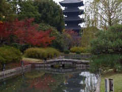 京都・東寺　弘法さん 　１００００歩！歩きました！！