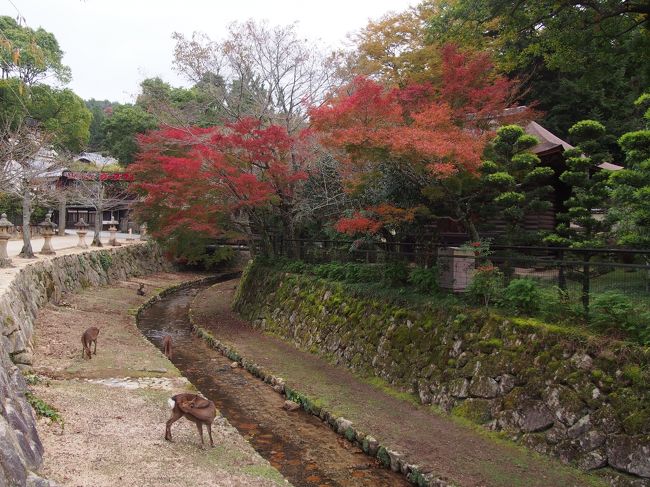 GO WEST!! <2016>　広島・島根・鳥取・兵庫の旅① ～安芸の宮島編