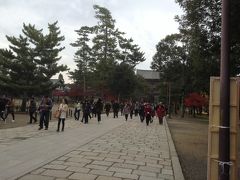 古き良き風情を！今朝の散歩道、奈良公園の紅葉！
