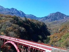 初めてのわんこ同伴旅行　わんわんパラダイス