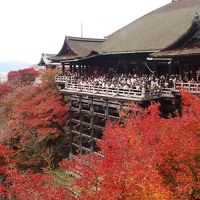 京都　１泊２日　お仕事＆秋紅葉