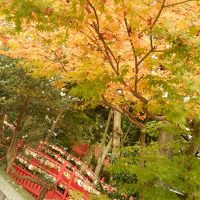 まちのりで巡る紅葉とグルメの金沢（1日目）