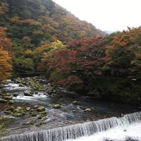 紅葉が箱根の山を駆け下りる（11月21日）