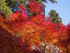 京都　- NOV16