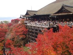 京都　１泊２日　お仕事＆秋紅葉