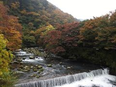 紅葉が箱根の山を駆け下りる（11月21日）