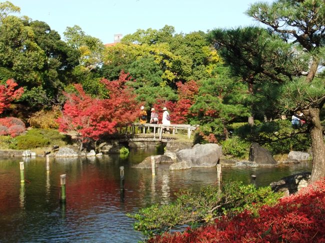 ここのところ4トラご無沙汰の名古屋やんです。<br /><br />京都まで行かなくても紅葉が楽しめるとの情報を得て行ってきました。<br /><br />敷地面積約3.7ヘクタールと名古屋市内最大級規模の日本庭園だそうです。<br /><br />庭園内の建物・池・木々が調和してなかなか良い風情です。<br />