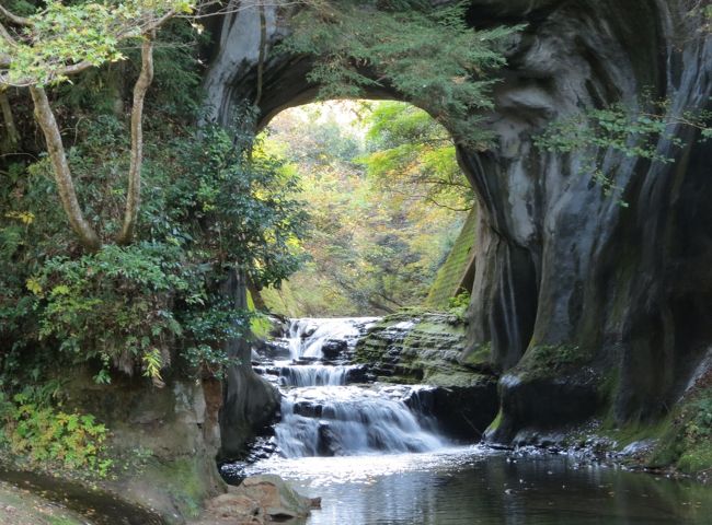 房総半島のほぼ中央部に、「房総の秘境、本州一遅い紅葉」をPRしている、亀山湖・笹川湖・七里川があります。 紅葉にはちよっと早かったですが、快晴に恵まれた、晩秋の1日を満喫してきました。<br /><br />訪問順にちょっと紹介を・・<br /><br />1、濃溝の滝(亀岩の洞窟・北辰妙見洞); 清水渓流広場の奥にあります。洞窟の中に差し込む朝の光が、スポットライトのように岩肌と川面を照らす幻想的なスポットとして有名になりました。<br /><br />2、笹川湖展望台; 笹川湖畔の標高219.7mにあり、「ちば眺望百選」に登録れています。特に紅葉期は美しいと評判なのですが、紅葉の見頃はあと10日ほど先のようです。<br /><br />3、道の駅「ふれあいパーク・きみつ」; 笹川湖観光の拠点で、地元野菜や卵(卵かけご飯で有名)などの直売所「きみつふるさと物産館」とレストランも併設されています。<br /><br />4、亀山温泉「湖水亭嵯峨和」; 温泉入浴(ヨード分が多い黒湯と笹川湖一望の露天風呂)と昼食(自家製味噌仕立ての猪鍋と名水を使った豆腐料理がお勧め)で立ち寄りました。<br /><br />5、亀山やすらぎ館; 亀山エリアの観光情報コーナーや地元物産品などの販売、レストランも併設しています。駐車場から亀山ダムを覗き込み、湖畔公園(川俣地区)での散策もお薦めです。<br /><br />6、三石寺観音寺; 縁結び、海難よけに霊験あらたかとされ、願いを一つ叶えてくれる「一言観音」ともいわれています。奥の院の「縁結びの本尊」を目指します。縁結び祈願のために訪れた参拝者のハンカチが、多数結んであります。<br /><br />7、大多喜駅; いすみ鉄道は、いすみ市の「大原駅」から大多喜町の「上総中野」まで、駅数;14駅、営業距離;26.8kmある、房総半島のほぼ中央を走るローカル鉄道です。レストラン・キハ(キハ28及びムーミン列車使用)の運行で有名になりました。<br /><br />8、大多喜城; 徳川四天王の一人「本田忠勝」の居城(十万石)として有名です。大河ドラマ「真田丸」でも、本田忠勝とその娘稲(小松姫)が重要な役柄で登場しています。